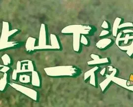 《上山下海过一夜》：逃离都市喧嚣，用一场治愈之旅，拥抱山海的宁静！