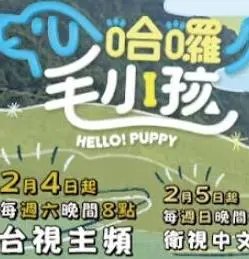 《哈啰！毛小孩》：爆笑宠物店，遇见最萌店员和超治愈毛小孩！